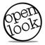 Open Look Business Solutions Inc