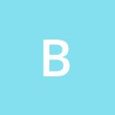 The Bridge Co.